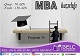 Magistraturanın II mərhələsi üzrə MBA Proqramına hazırlıq kurslarına gəlin