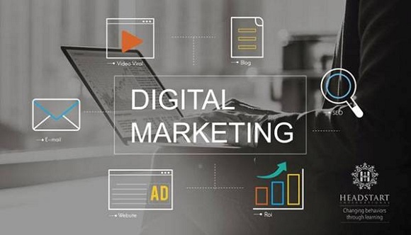 Digital marketing təlimi başlayır - 1