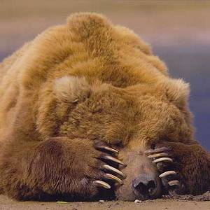Yuxu yaraların sağalmasında hansı rolu oynayır? - 1 Yuxu yaraların sağalmasında hansı rolu oynayır? - 1