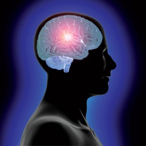 "Nanobeyin" nədir və ya o nə üçündür? - 1 "Nanobeyin" nədir və ya o nə üçündür? - 1