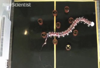 Zəlzələ dağıntılarında robot-qurdlardan istifadə ediləcək - 2 Zəlzələ dağıntılarında robot-qurdlardan istifadə ediləcək - 2
